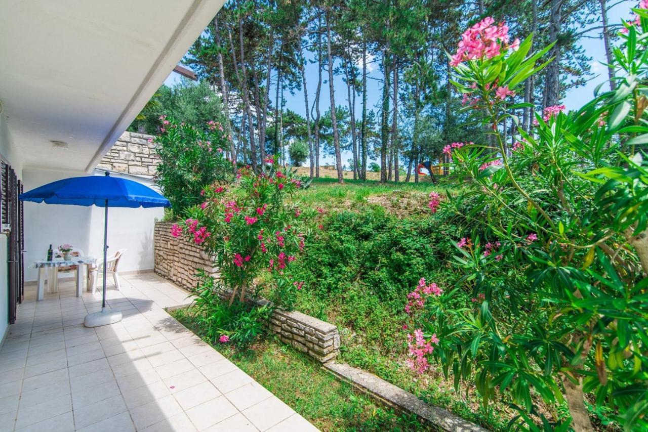 Apartments Pino غاباس المظهر الخارجي الصورة
